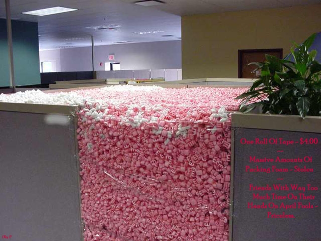 cubicle%20foam.JPG