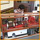 cambsteam-076.JPG