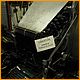 cambsteam-154.JPG