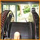 cambsteam-186.JPG