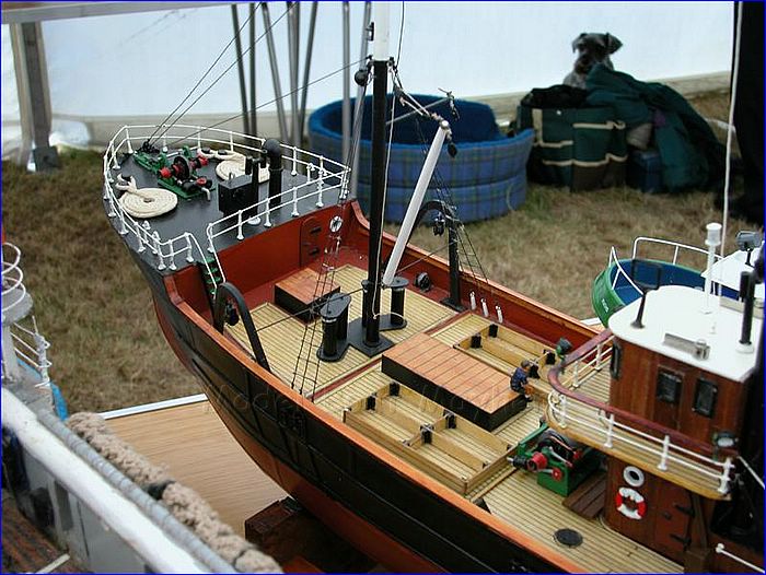 Tarlair064 (Medium).JPG
