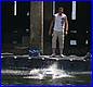 Weymouth-2006_024.JPG