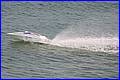 Weymouth-2006_031.JPG