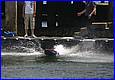 Weymouth-2006_037.JPG