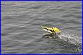 Weymouth-2006_072.JPG