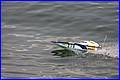 Weymouth-2006_078.JPG