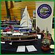 ModelBoatMayhem_Coalville_2014-412.JPG