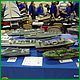 ModelBoatMayhem_Coalville_2014-429.JPG